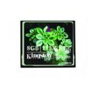 CompactFlash card (CF)
