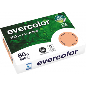 Clairefontaine Evercolor gekleurd gerecycleerd papier, A4, 80 g, 500 vel, zalm