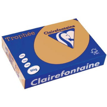 Clairefontaine gekleurd papier Trophée Pastel A4 mokka