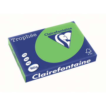 Clairefontaine Trophée Intens A3 grasgroen, 160 g, 250 vel