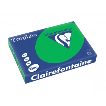 Clairefontaine Trophée Intens A4 bijartgroen, 120 g, 250 vel