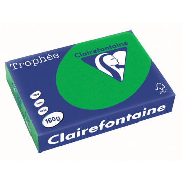 Clairefontaine Trophée Intens A4 biljartgroen, 160 g, 250 vel
