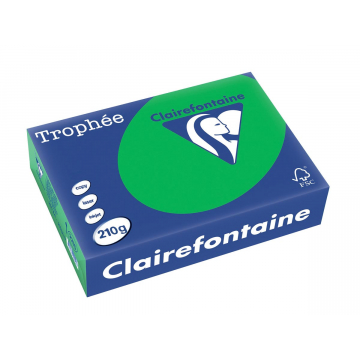 Clairefontaine Trophée Intens A4 biljartgroen, 210 g, 250 vel
