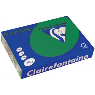 Clairefontaine Trophée Intens A4, denneng roen, pak van 80 g, 500 vel