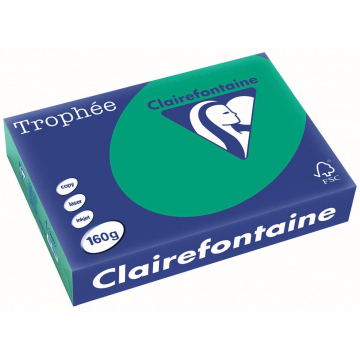 Clairefontaine Trophée Intens A4, dennengroen, 160 g, 250 vel
