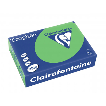 Clairefontaine Trophée Intens A4 grasgroen, 210 g, 250 vel