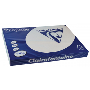 Clairefontaine Trophée Pastel A3 lichtgrijs, 120 g, 250 vel