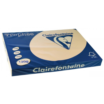 Clairefontaine Trophée Pastel A3 parelgrijs, 120 g, 250 vel