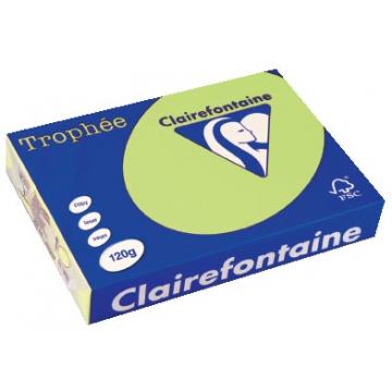 Clairefontaine Trophée Pastel A4 golfgroen, 120 g, 250 vel