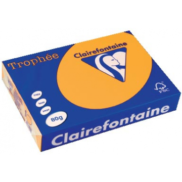 Clairefontaine Trophée Pastel A4 goudgeel, 80 g, 500 vel