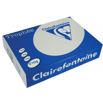 Clairefontaine Trophée Pastel A4 lichtgrijs, 210 g, 250 vel