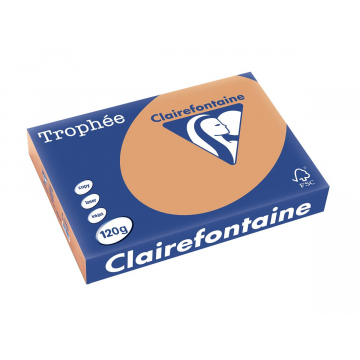 Clairefontaine Trophée Pastel A4 mokkabruin, 120 g, 250 vel