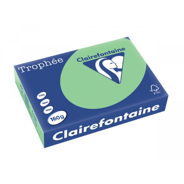 Clairefontaine Trophée Pastel A4 natuurgroen, 160 g, 250 vel