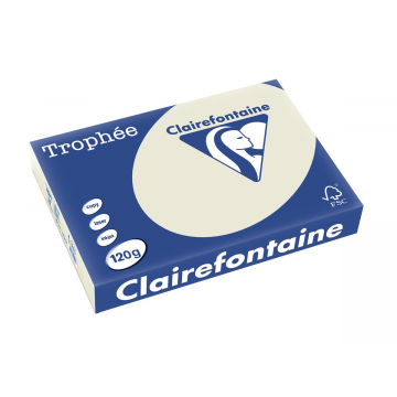 Clairefontaine Trophée Pastel A4 parelgrijs, 120 g, 250 vel