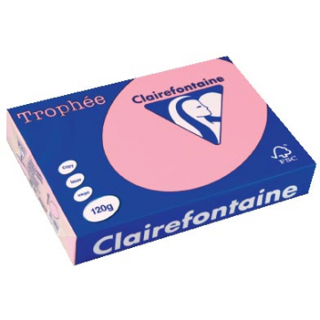 Clairefontaine Trophée Pastel A4 roze, 120 g, 250 vel