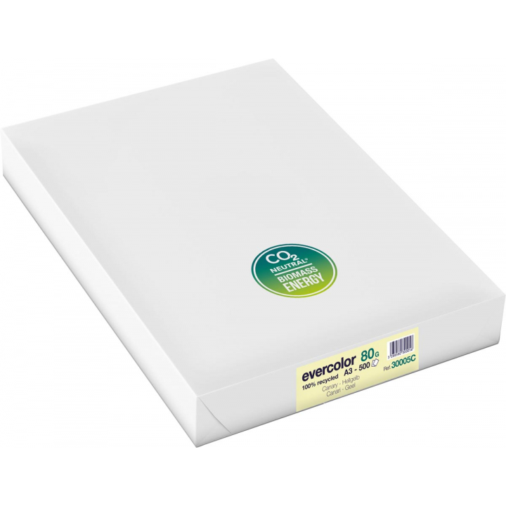 verliezen wraak Medisch wangedrag Clairefontaine Evercolor gekleurd gerecycleerd papier, A3, 80 g, 500 vel,  geel kopen? - Office Supplies