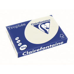 Clairefontaine Trophée Pastel, gekleurd papier, A3, 160 g, 250 vel, parelgrijs