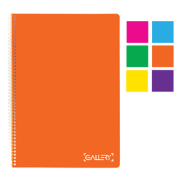 Gallery spiraalschift Colour ft 21 x 29,7 cm (A4), geruit 5 mm, 4-gaatsperforatie