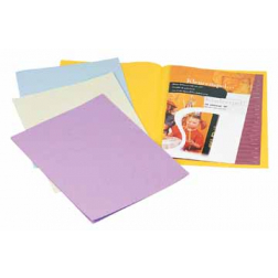 Rainex dossiermap A4, pak van 250 stuks, gems
