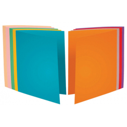 Exacompta Dossiermap Forever Bengali, 5 geassorteerde kleuren, uit papier van 80 g per m², pak van 250 st
