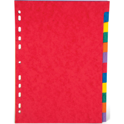 Pergamy tabbladen ft A4, 11-gaatsperforatie, stevig karton, geassorteerde kleuren, 12 tabs
