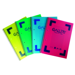 Gallery schrift ft A4, gelijnd, 4-gaatsperforatie, geassorteerde kleuren, 160 bladzijden