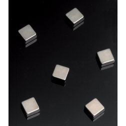 Naga Magneten voor glasborden 6 stuks, ft 10 x 10 x 5 mm