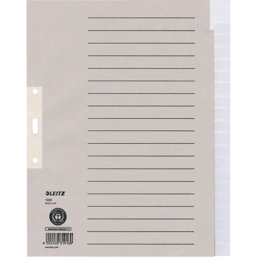 Leitz tabbladen, ft A4, uit karton, 2-gaatsperforatie, 20 tabs, blanco