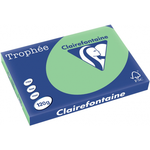 Clairefontaine Trophée Pastel, gekleurd papier, A3, 120 g, 250 vel, natuurgroen