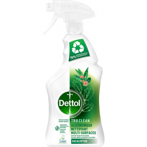 Dettol allesreiniger, eucalyptus, spray van 500 ml