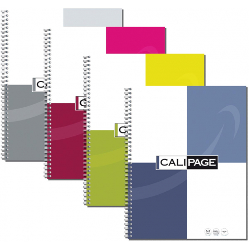 Calipage spiraalschrift ft A4, geruit, geassorteerde kleuren, 100 bladzijden