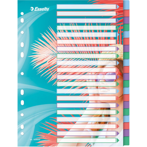 Esselte Colour'Breeze tabbladen, ft A4, 11-gaatsperforatie, PP, set van 20 tabs