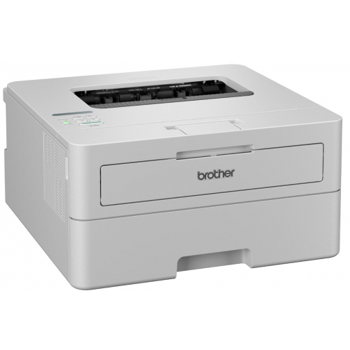 Brother zwart-wit laserprinter HL-L2865DW