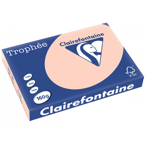 Clairefontaine Trophée Pastel, gekleurd papier, A3, 160 g, 250 vel, zalm