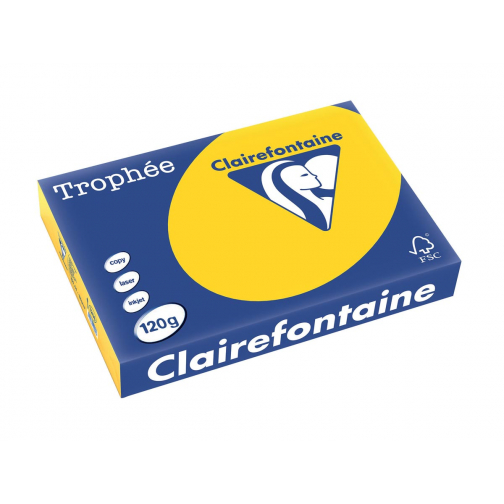 Clairefontaine Trophée Pastel, gekleurd papier, A4, 120 g, 250 vel, goudgeel