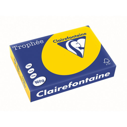 Clairefontaine Trophée Pastel, gekleurd papier, A4, 160 g, 250 vel, goudgeel