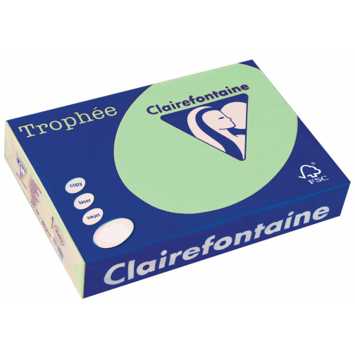 Clairefontaine Trophée gekleurd papier, A4, 80 g, 500 vel, natuurgroen